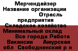 Мерчендайзер › Название организации ­ Team PRO 24 › Отрасль предприятия ­ Складское хозяйство › Минимальный оклад ­ 25 000 - Все города Работа » Вакансии   . Амурская обл.,Свободненский р-н